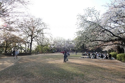 多摩川台公園２.jpg
