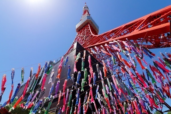 東京タワーと鯉のぼり.jpg